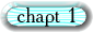 Chapt 1